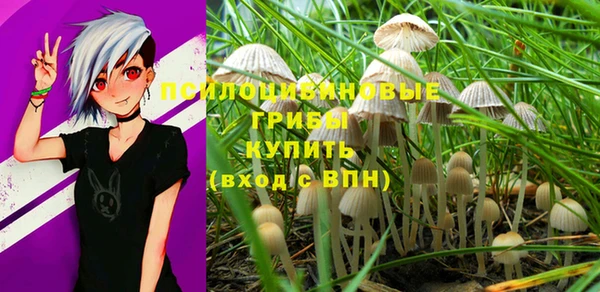 ECSTASY Волоколамск