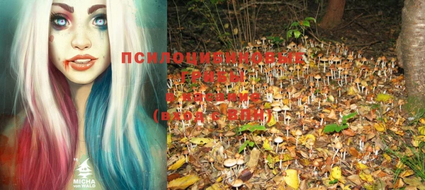 ECSTASY Волоколамск
